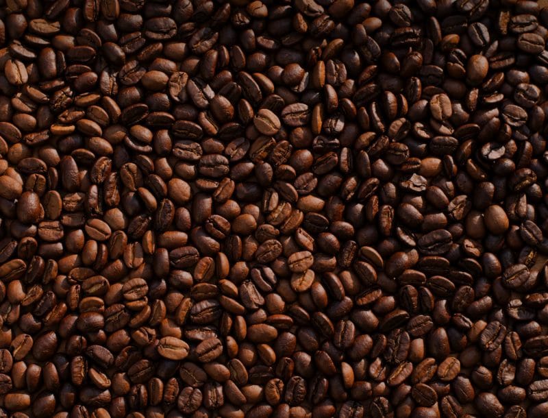 chicchi di caffè lejeune crema viso
