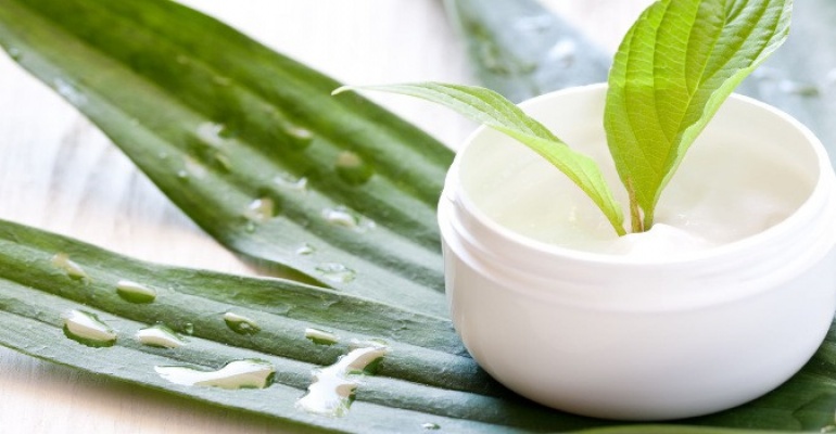 creama antirughe bio aloe