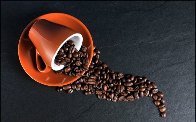 marche di caffe copertina