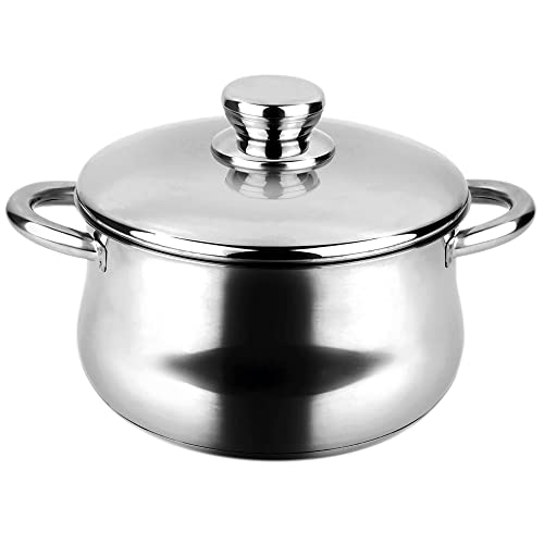 FAGOR Stockpot with Lid-Stainless 24CM 78596 Pentola Silverinox + Coperchio in Acciaio Inox, Multicolore, D 24 cm, Inossidabile