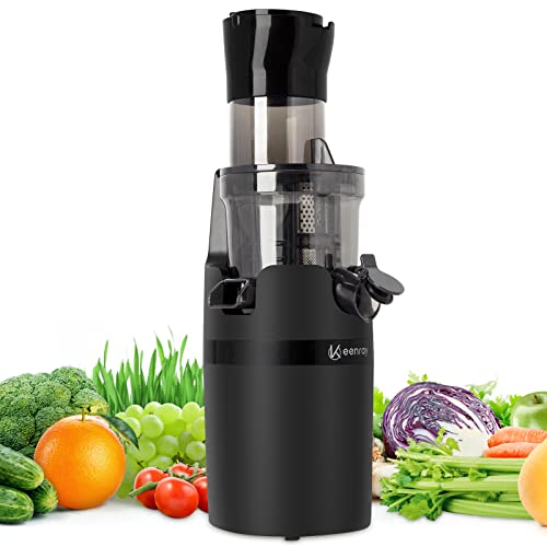 Keenray Estrattore di Succo a Freddo, Estrattore Frutta e Verdura, Mini Spremiagrumi con Pennello, Motore Silenzioso, Funzione Inversa, Senza BPA, Brocca da 600 ml (EL18)