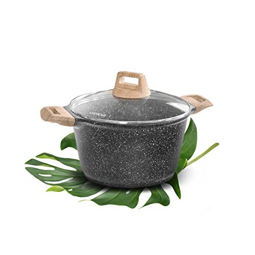 Pentola 22 cm con coperchio Eco Petra Kasanova