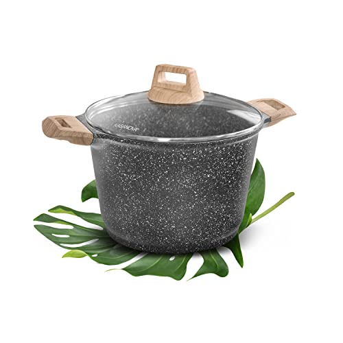 Pentola 24 cm con coperchio Eco Petra Kasanova