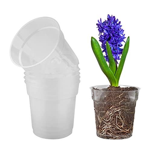 TSLBW 5 Pieza Vaso Trasparente per Orchidee Fiori in Plastica con Fori Drenaggio per Balcone Interno ed Esterno