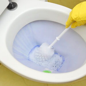 pulizia bagno calcare wc