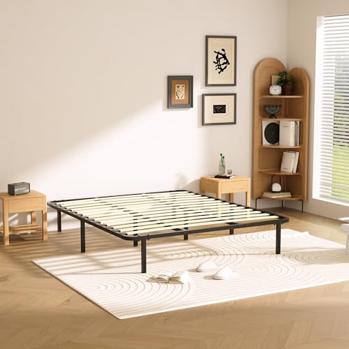 Dewinner Rete Letto Matrimoniale 160x190cm,Altezza 35 cm,13 Doghe in legno pioppo Ortopedica, Rete singolo con 8 Piedi,Montaggio Rapido e Facile