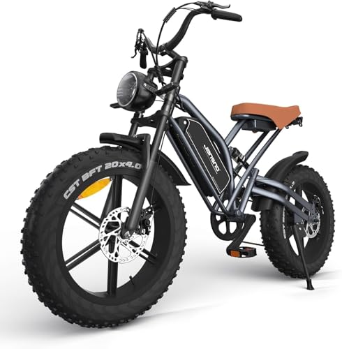 JANSNO Bicicletta Elettrica 20" x 4.0 Fat Tire, 7 Velocità Bici Elettrica, Freni a Disco Meccanici Anteriori e Posteriori, E-Bike per Adulti, Batteria Rimovibile 48V 14Ah