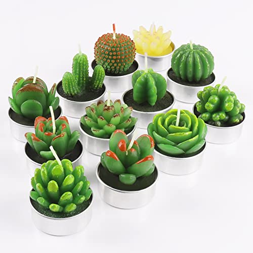 12 Pezzi Candele di Cactus di Tealight, Weinsamkeit Decorativo Fatto a Mano Delicato Cactus Tealight Senza Fumo Carina Verde Pianta per San Valentino, Festa di Compleanno O Nozze