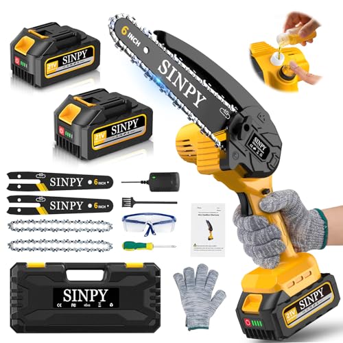 Mini Motosega a Batteria Per Potatura Con 8000mah Batterie e Caricatore Rapido, 880W 6 Pollici Sega Con Pompetta Olio e Blocco di Sicurezza per il Taglio Del Legno e Giardini