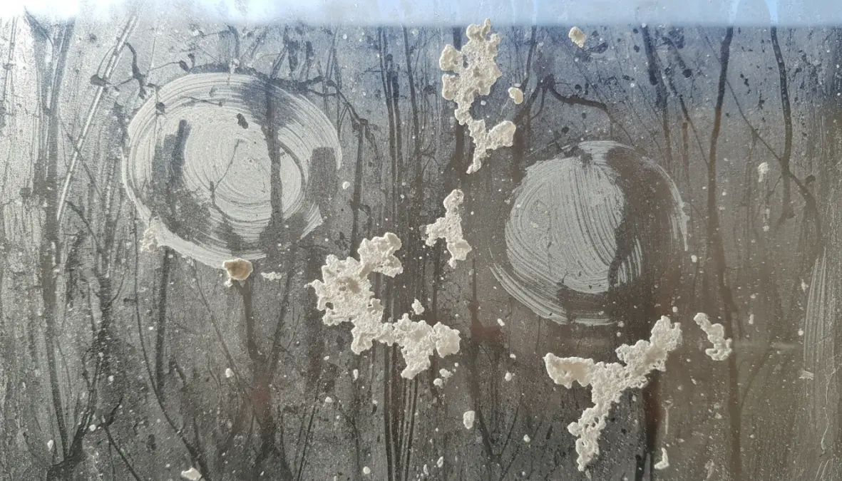 Aloni e residui di calcare su vetri sporchi che mostrano i difetti comuni della pulizia vetri