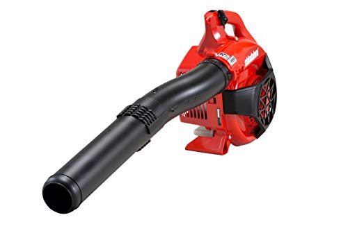 Shindaiwa SOFFIATORE Professionale EB252 Motore A Scoppio 25.4 CC