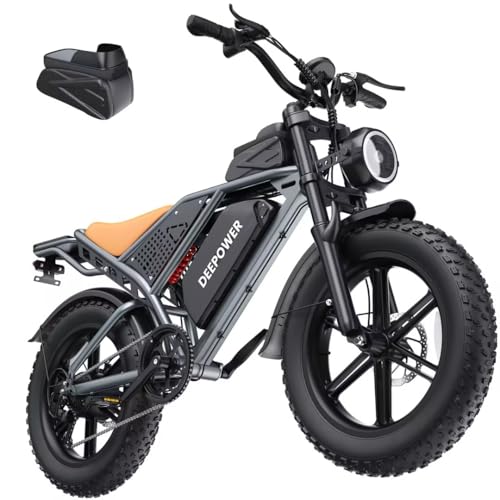 QS7 Bicicletta Elettrica Per Adulti, 20"&times;4.0 Pneumatici Fat E-Bike Con 48V 20/35/60Ah Batteria Rimovibile, 25 KM/H, 160-250KM Autonomia, 7 Marce, Sospensione Idraulica Completa (Grigio Classico-20Ah)