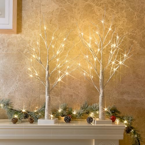 EAMBRITE Set di 2 Albero di luce 24 bianco caldo LED Albero di betulla con funzionamento a batteria, decorazione di Pasqua e Natale per la casa all'interno (60cm/2ft)