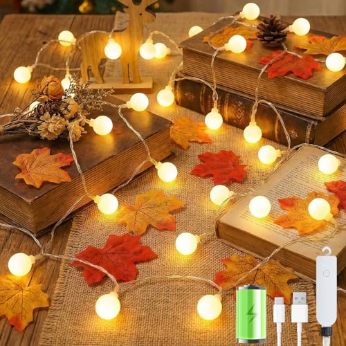 Giliwosy Catena Luminosa Esterno Interno, 60LEDs 10M Luci LED a Batteria con USB 8 Modalit&agrave; FunZione Timer IP65 Impermeabile, Lucine LED Decorative per Balcone Giardino Feste Camera Campeggio Natale